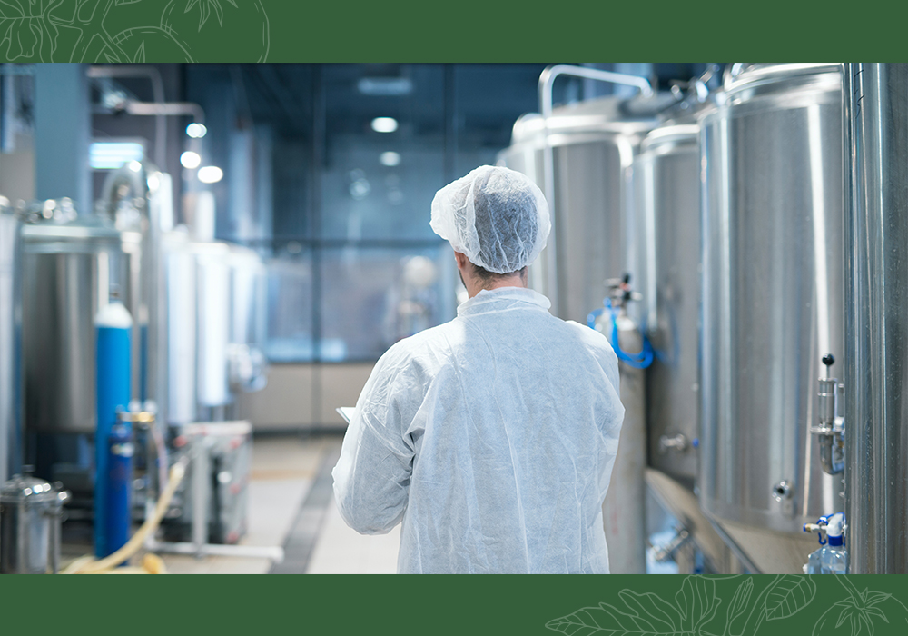 What Is Aseptic Tomato Paste and Why Is It the Best Choice for Food Industries?