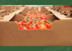 How Aseptic Packaging Extends Shelf Life Without Preservatives