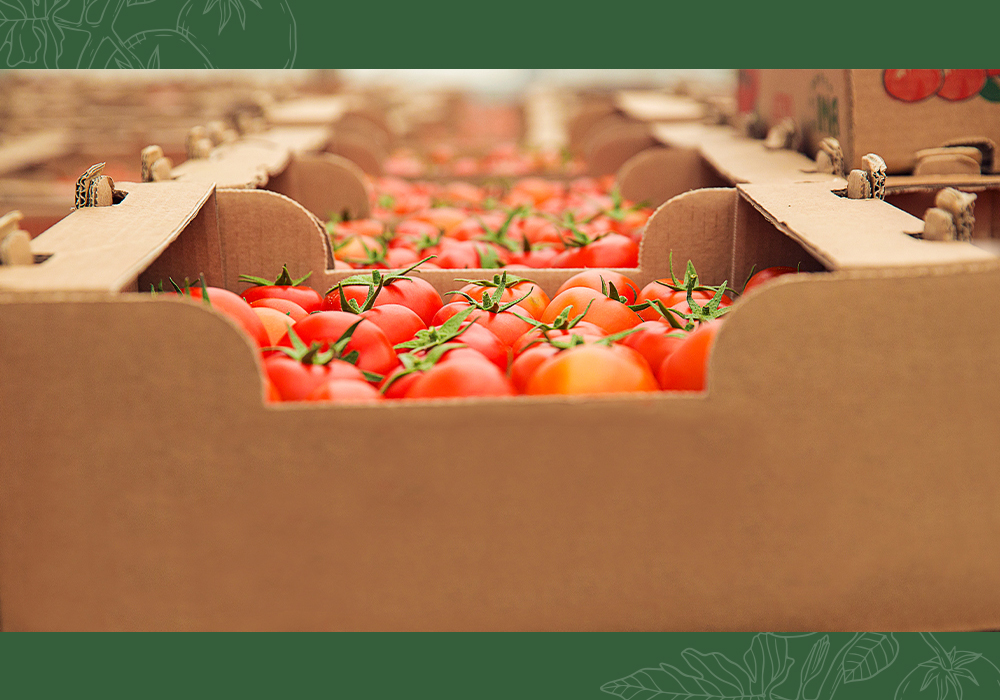 How Aseptic Packaging Extends Shelf Life Without Preservatives