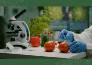 How to Choose the Right Tomato Paste for Industrial Food Production